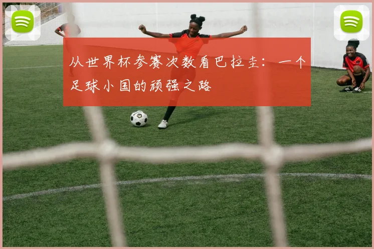 从世界杯参赛次数看巴拉圭:一个足球小国的顽强之路