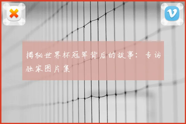 揭秘世界杯冠军背后的故事：专访独家图片集