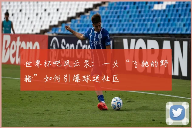 世界杯吧风云录:一头“飞驰的野猪”如何引爆球迷社区