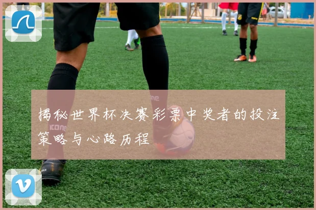 揭秘世界杯决赛彩票中奖者的投注策略与心路历程