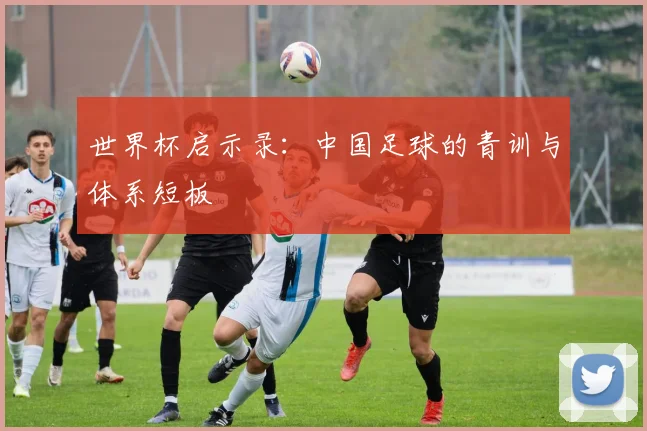 世界杯启示录:中国足球的青训与体系短板