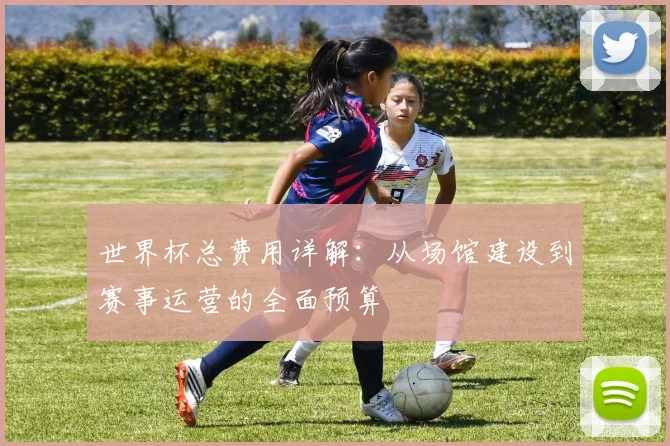 世界杯总费用详解:从场馆建设到赛事运营的全面预算
