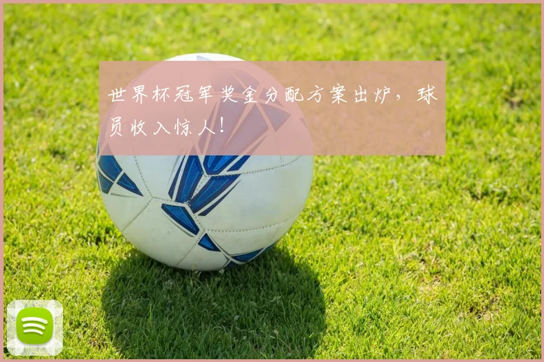 世界杯冠军奖金分配方案出炉,球员收入惊人!