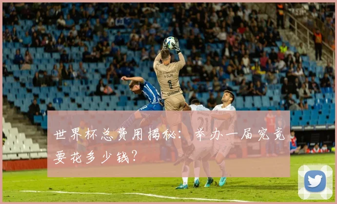 世界杯总费用揭秘:举办一届究竟要花多少钱?