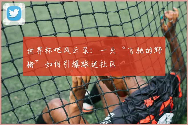 世界杯吧风云录:一头“飞驰的野猪”如何引爆球迷社区