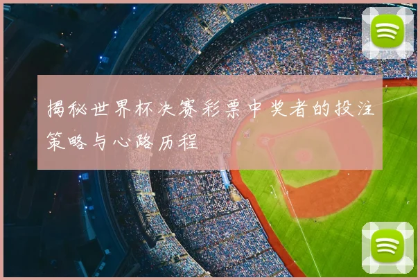 揭秘世界杯决赛彩票中奖者的投注策略与心路历程