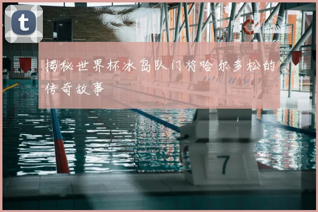 揭秘世界杯冰岛队门将哈尔多松的传奇故事