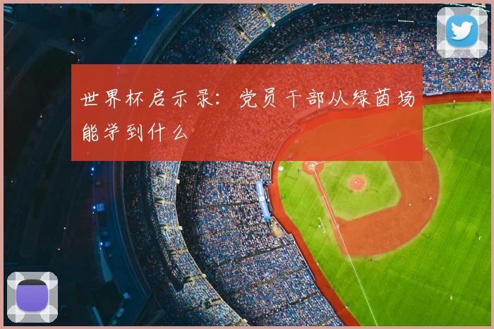 世界杯启示录：党员干部从绿茵场能学到什么