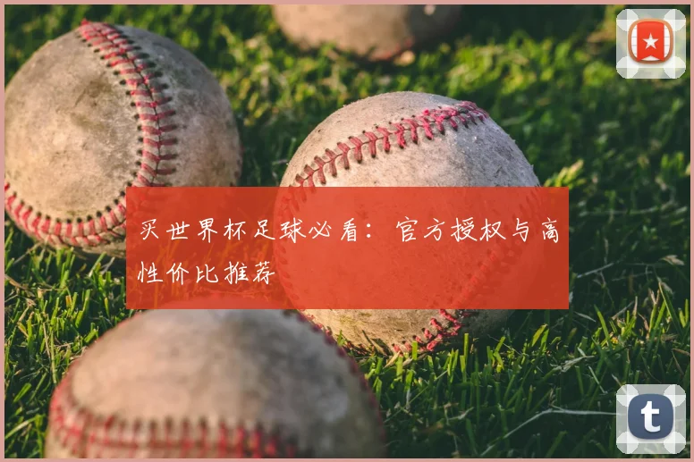 买世界杯足球必看:官方授权与高性价比推荐