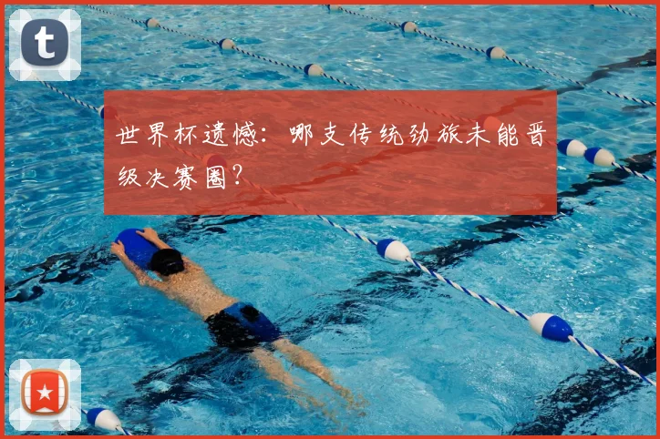世界杯遗憾:哪支传统劲旅未能晋级决赛圈?