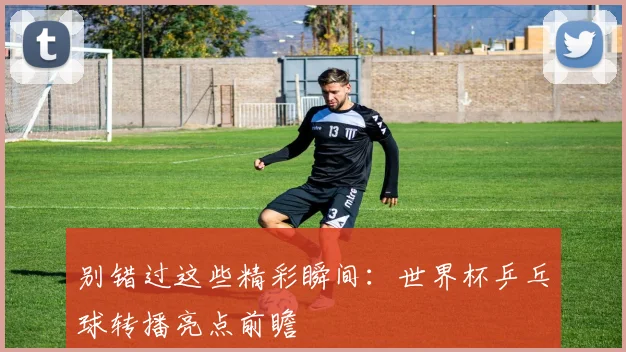 别错过这些精彩瞬间：世界杯乒乓球转播亮点前瞻