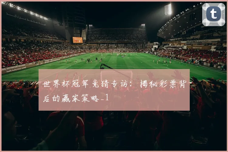 世界杯冠军竞猜专访：揭秘彩票背后的赢家策略_1
